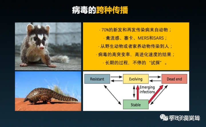 猫狗会成为新的传染源？能否人造一个成功的病毒？一起了解病毒的通关之旅 | 格致论道讲坛