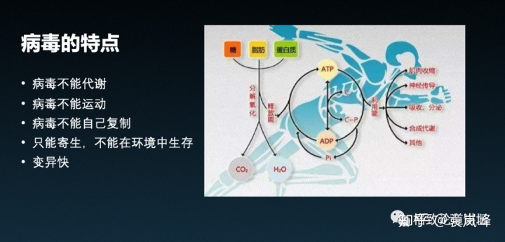 猫狗会成为新的传染源？能否人造一个成功的病毒？一起了解病毒的通关之旅 | 格致论道讲坛