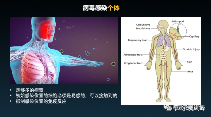 猫狗会成为新的传染源？能否人造一个成功的病毒？一起了解病毒的通关之旅 | 格致论道讲坛